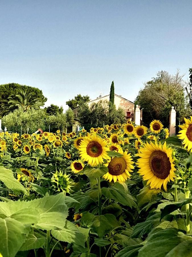 Fontebella Bed & Breakfast Montemarciano Exterior photo